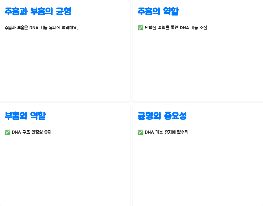 DNA 이중나선 구조, 왜 이렇게 안정적일까요? 분자생물학의 놀라운 비밀! - DNA 이중나선 구조의 안정성: 주홈과 부홈의 역할 - 주홈과 부홈의 균형: DNA 기능 유지의 핵심