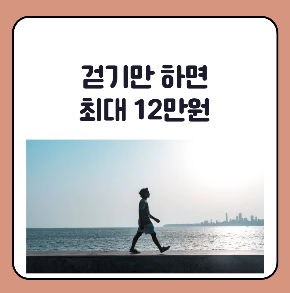 건강생활실천지원금제