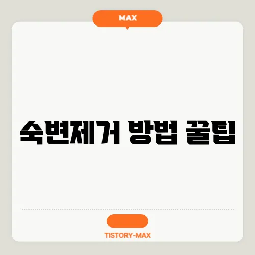 숙변제거 방법 꿀팁