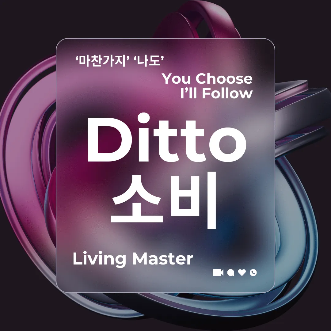 디토(Ditto)소비