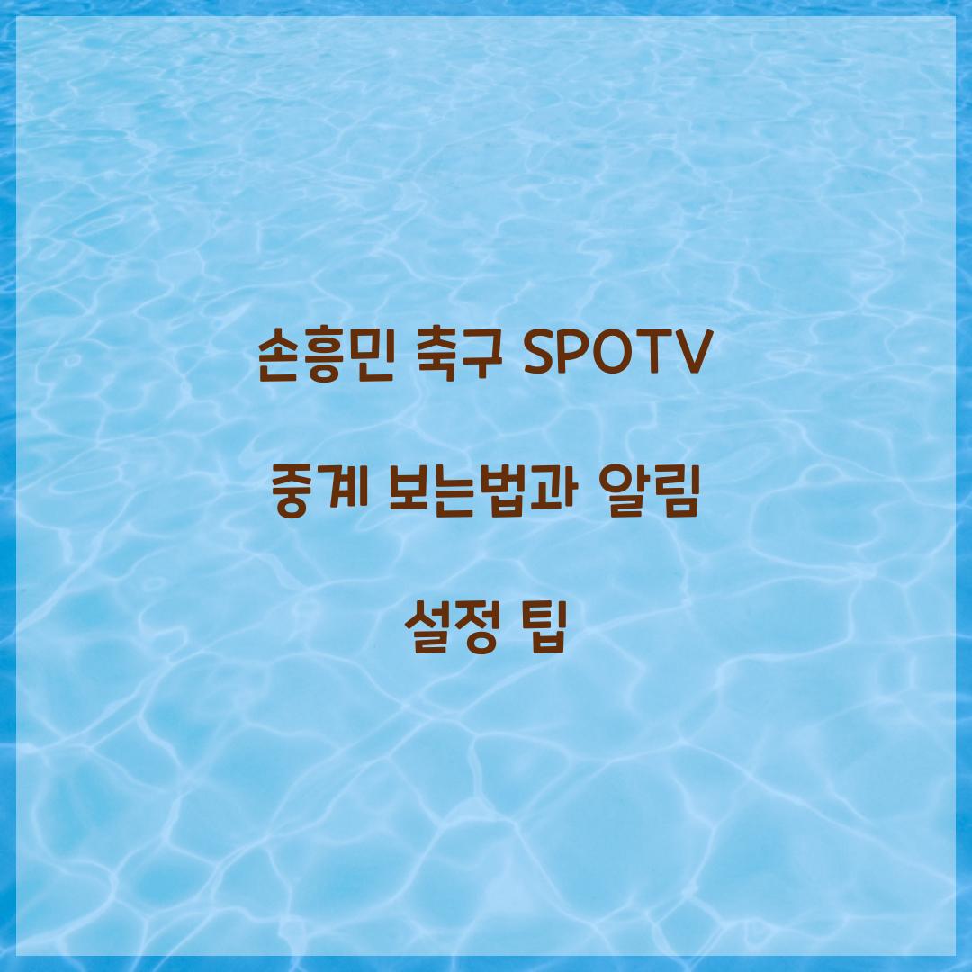 손흥민 축구 SPOTV 중계 보는법