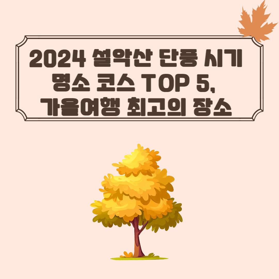 2024 설악산 단풍 시기 명소 코스 TOP 5, 가을여행 최고의 장소