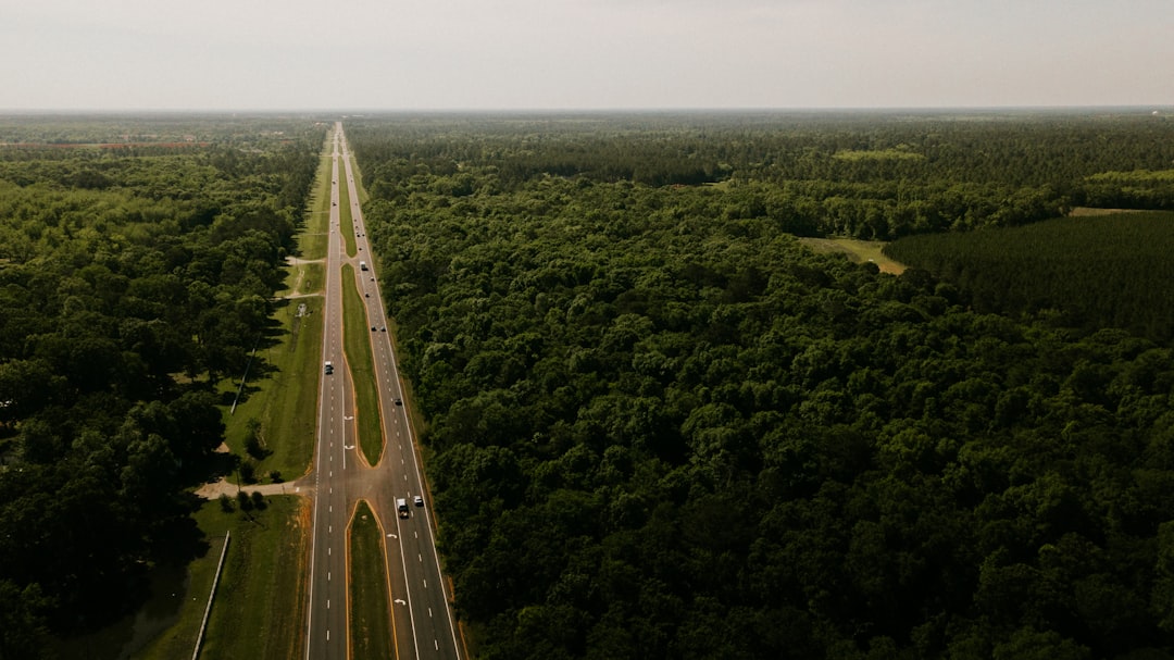 Bypass