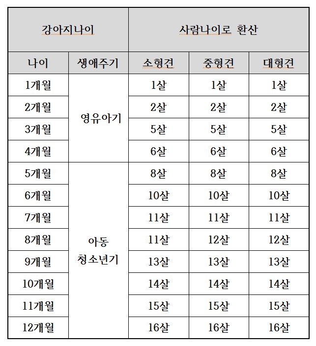 강아지-나이