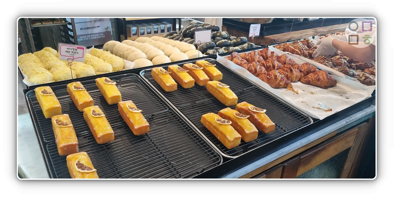 강원도-바다정원-다양한-빵들