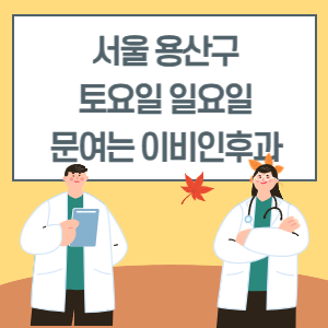 서울 용산구 토요일 일요일 이비인후과 진료 병원 리스트