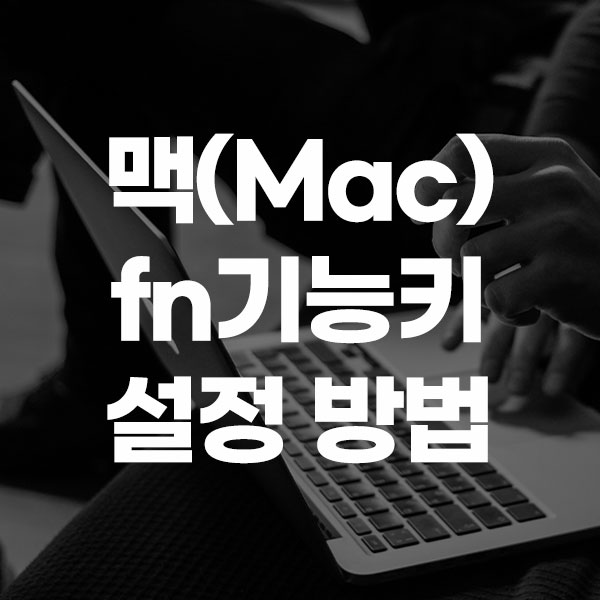 맥(Mac) fn 기능키 설정 방법