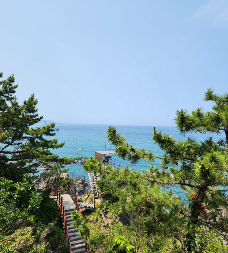 덕봉산 해안생태탐방로