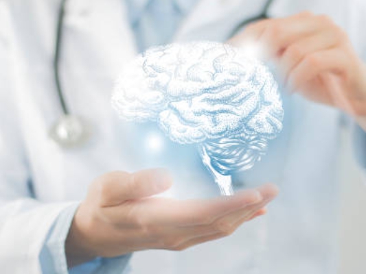 파킨슨병을 설명하기 위한 뇌