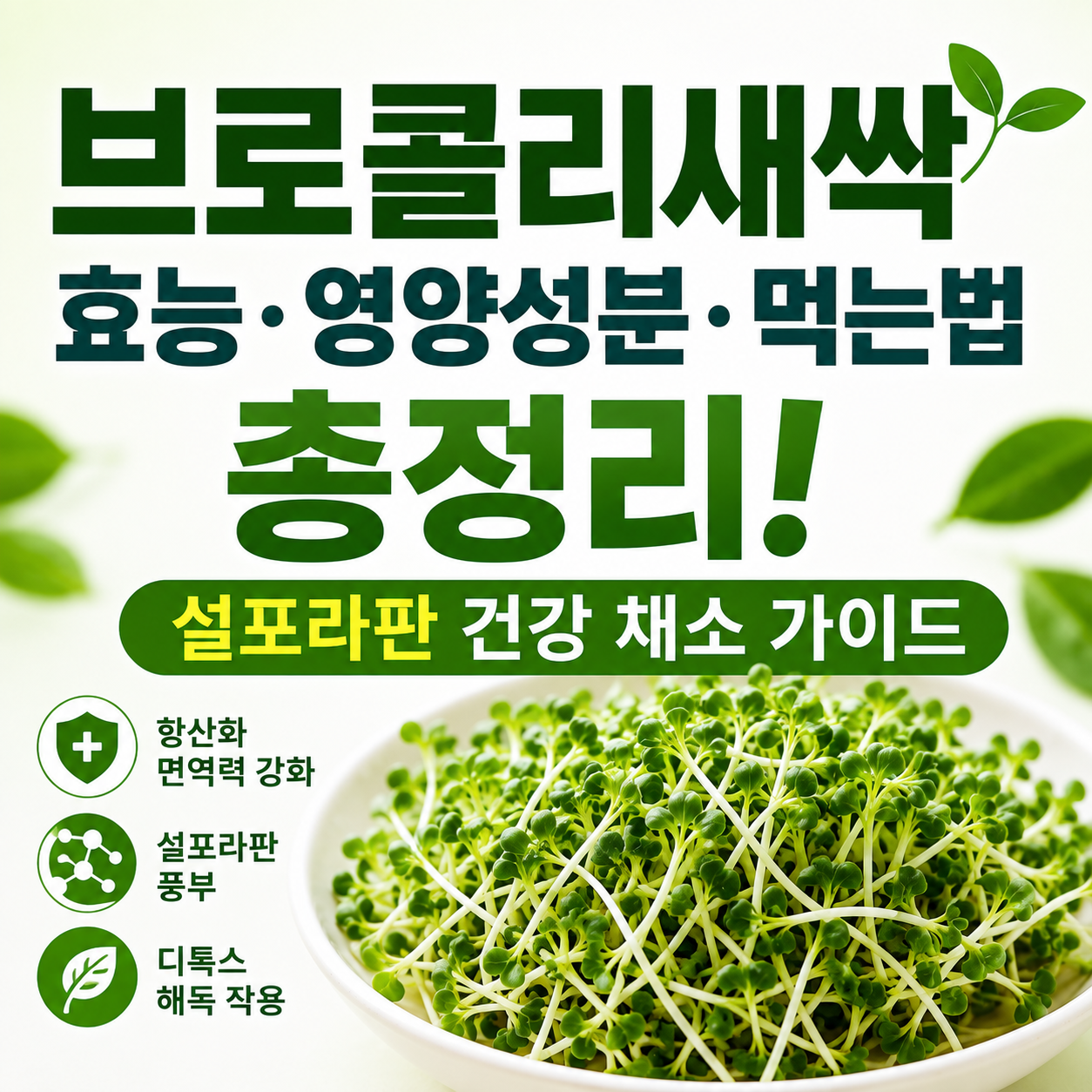 브로콜리새싹 효능