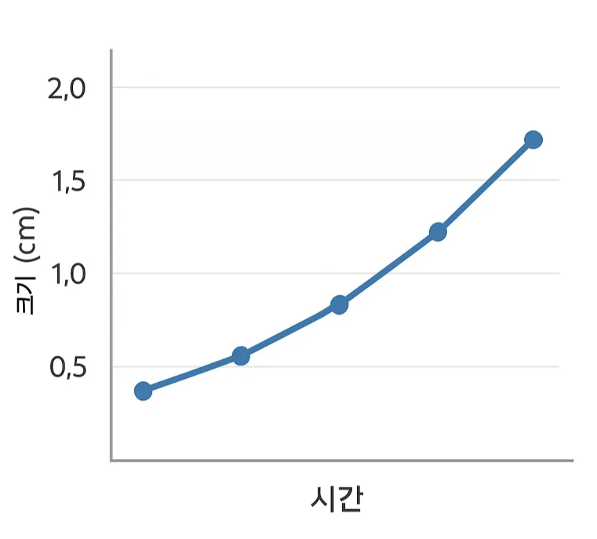 갑상선 결절 크기변화
