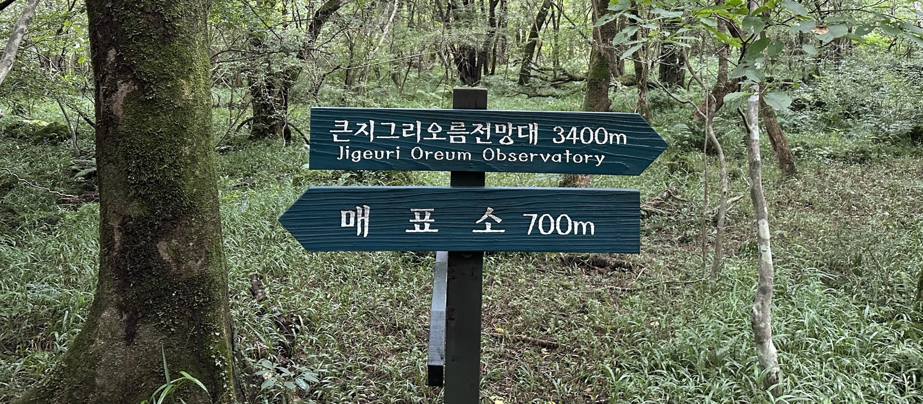 나가는 이정표