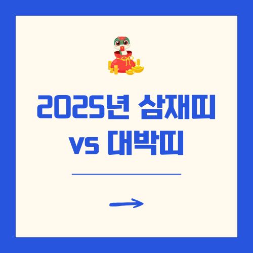 2025년 삼재띠 대박띠