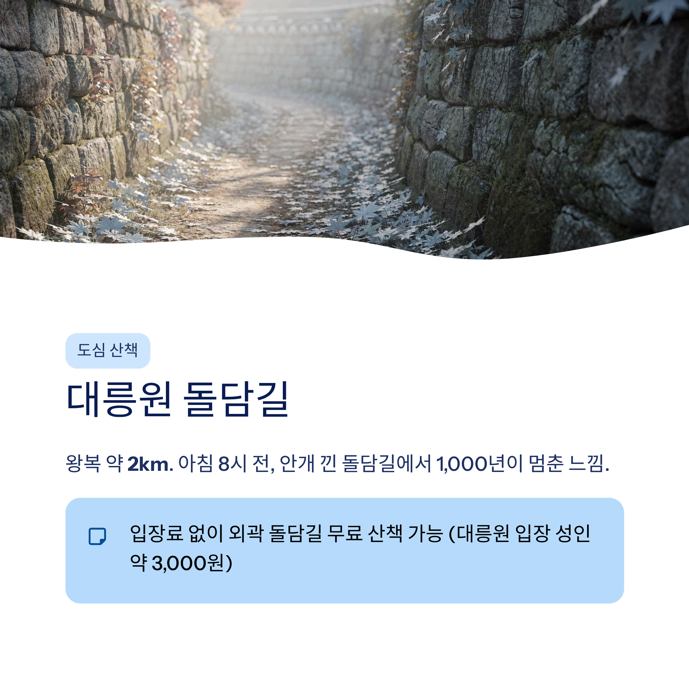 경주 근교 산책 달리기 트레킹 코스 추천 ❘ 천년 고도를 두 발로 걷는 법