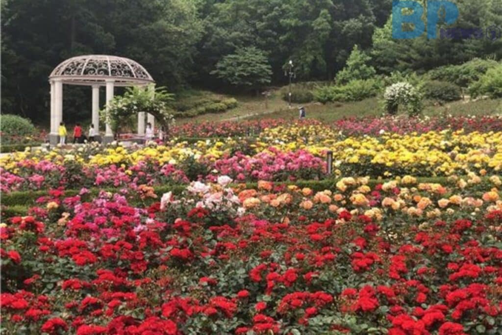 인천-장미근린공원