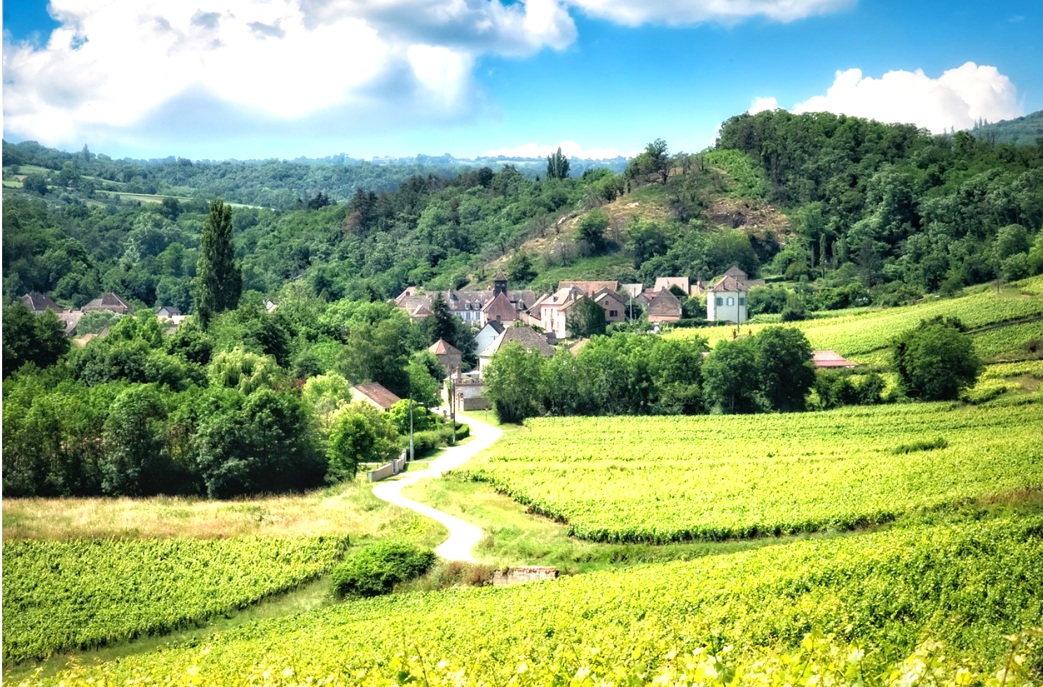 고즈넉한 시골 마을에서 즐기는 포크 &amp; 인디 음악 플레이리스트🍃🎶