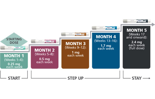 위고비-비만-치료제