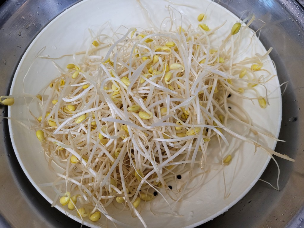 씻어서 준비한 신선한 콩나물