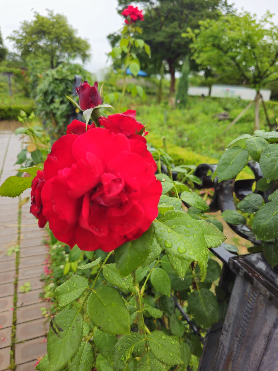 장애인 복지정책 설계 시 참고할 나라들