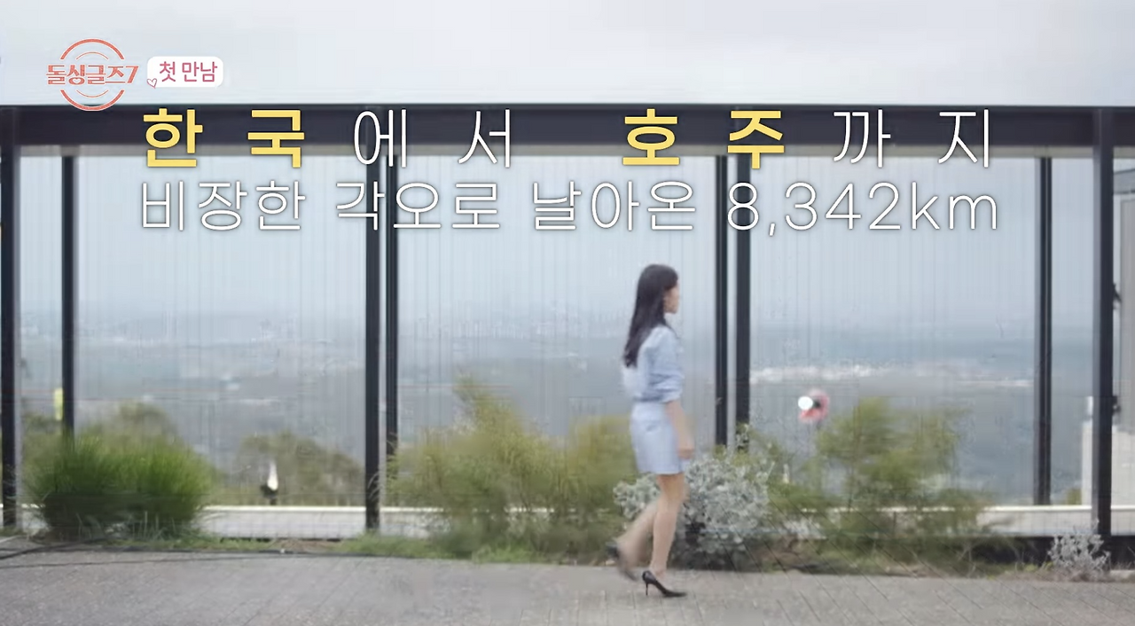 돌싱글즈 7 직업 출연자