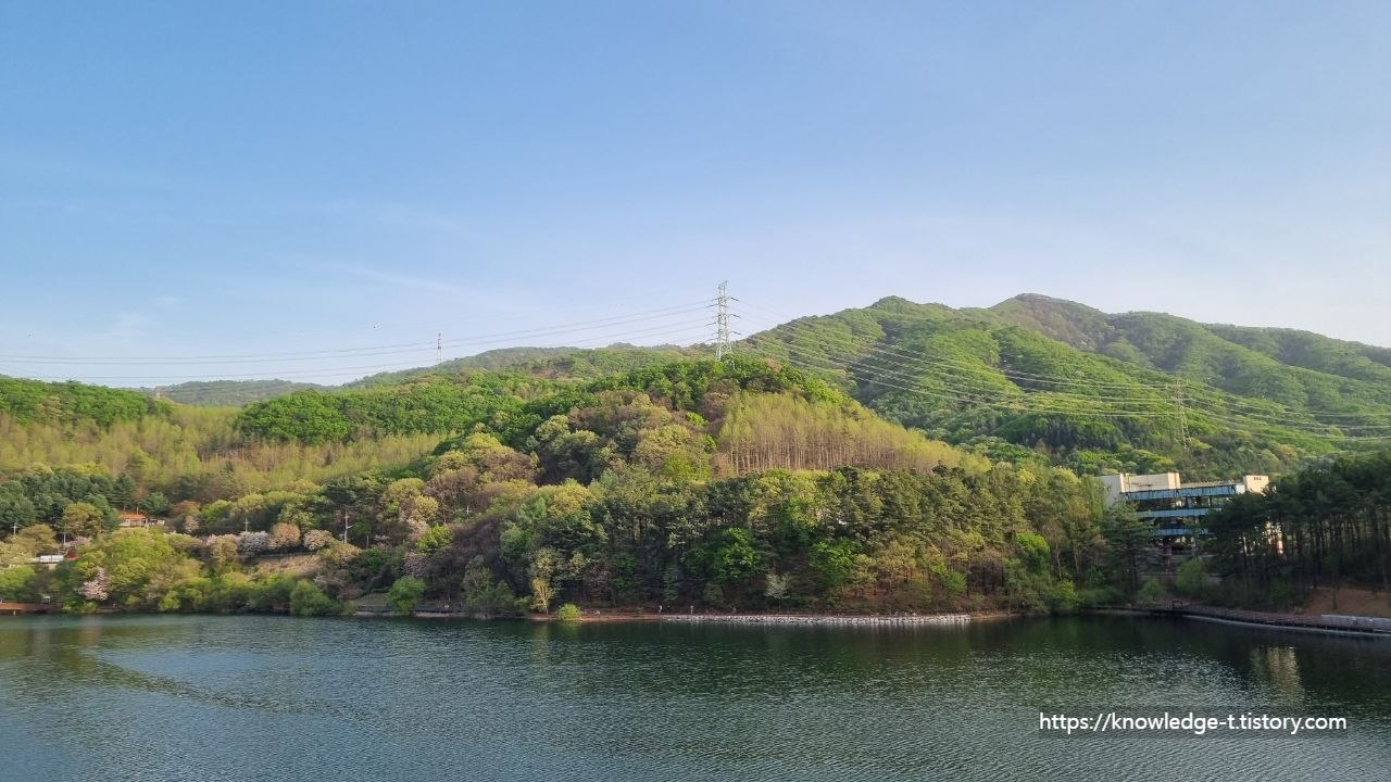 경기 파주 마장호수 출렁다리위에서 바라본 마장호수풍경