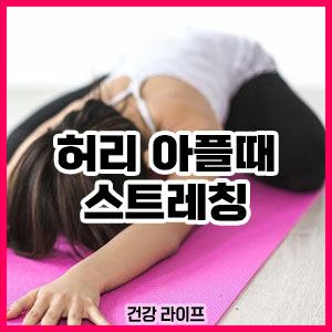 허리 아플때 스트레칭