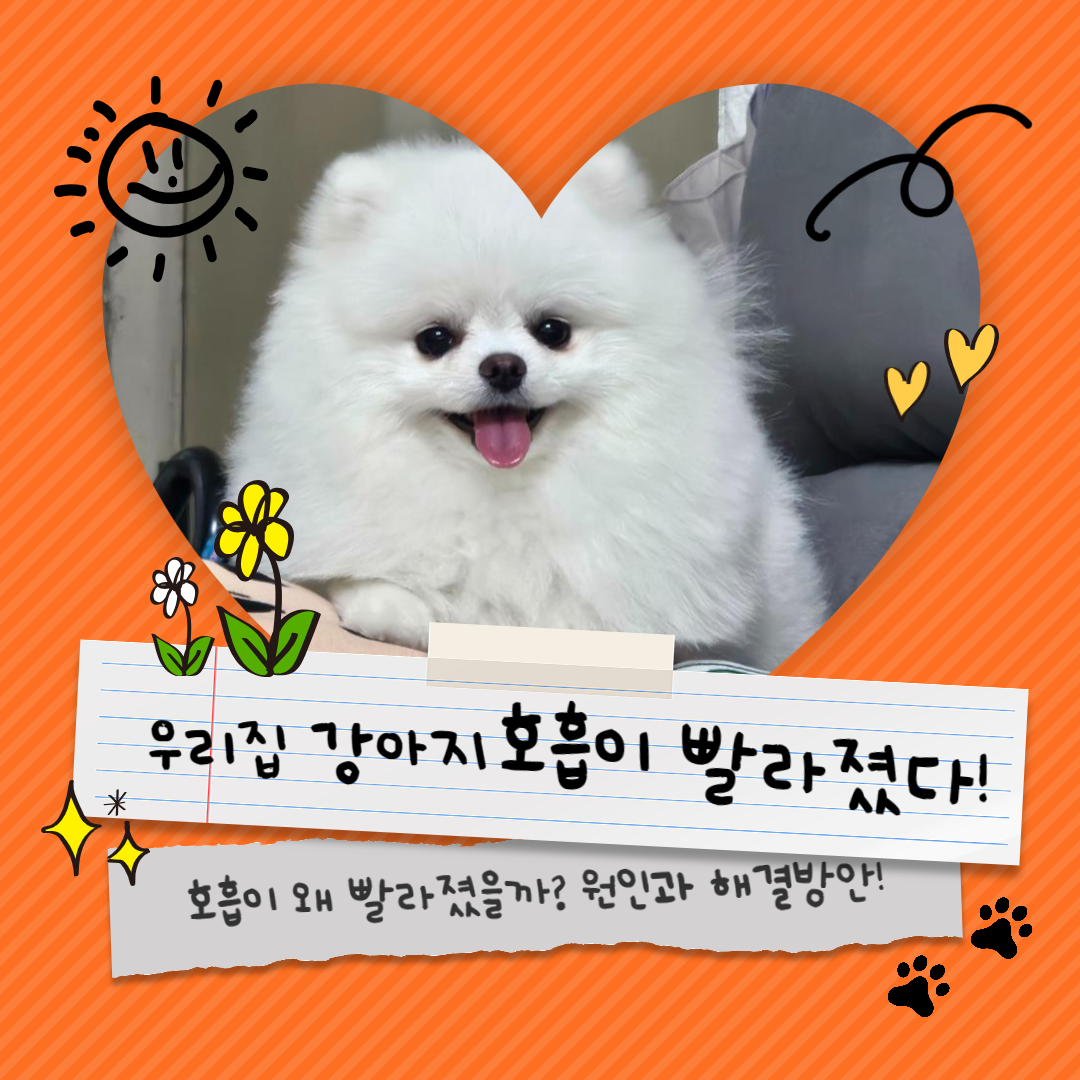 강아지-호흡이-빨라진-이유