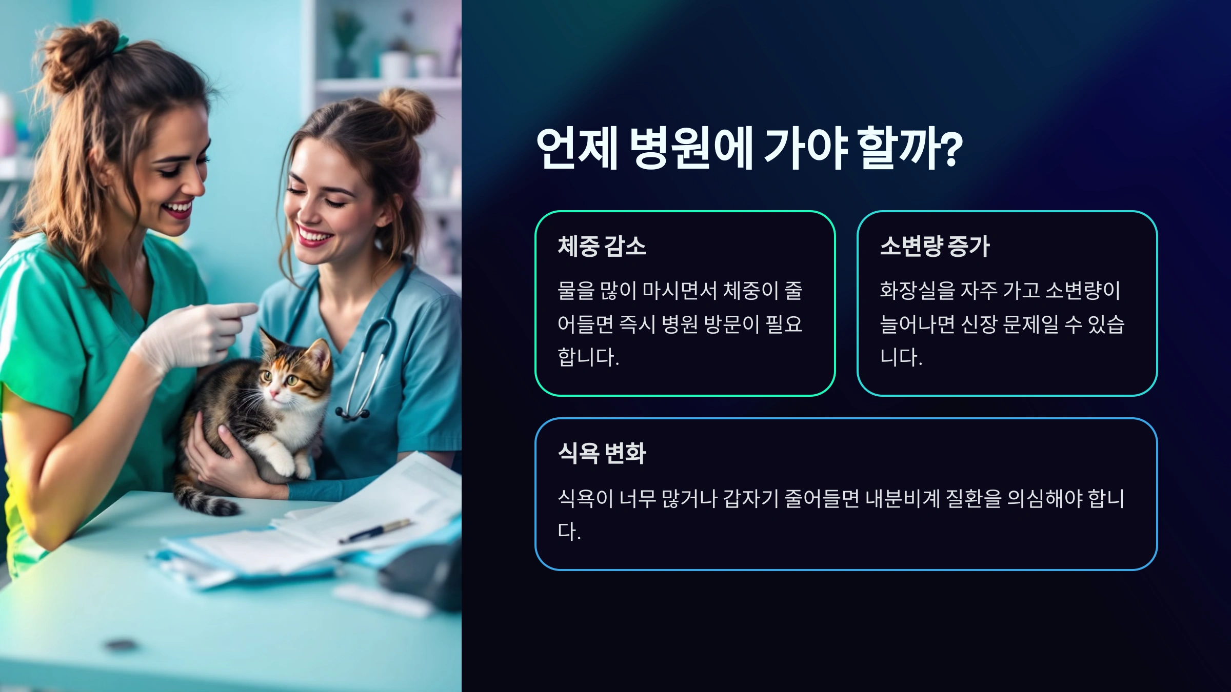 고양이가 갑자기 물을 많이 마신다면