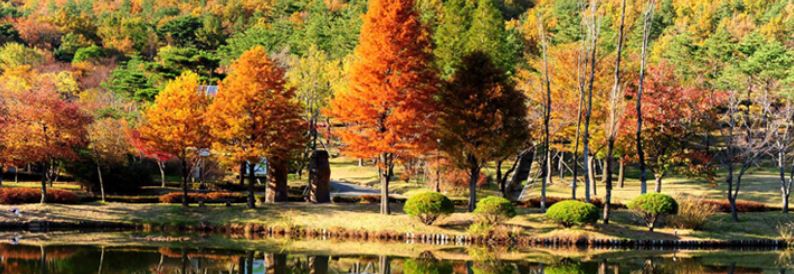 포항시 죽장면 수목원