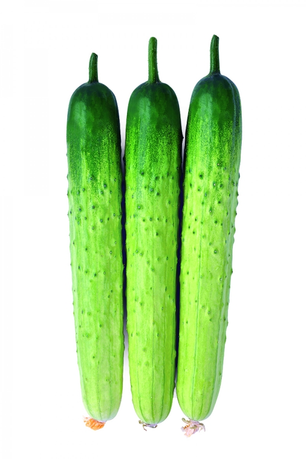 7월제철음식