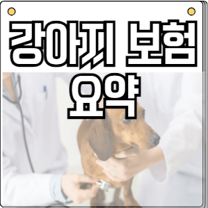 강아지보험요약-펫보험알아보기