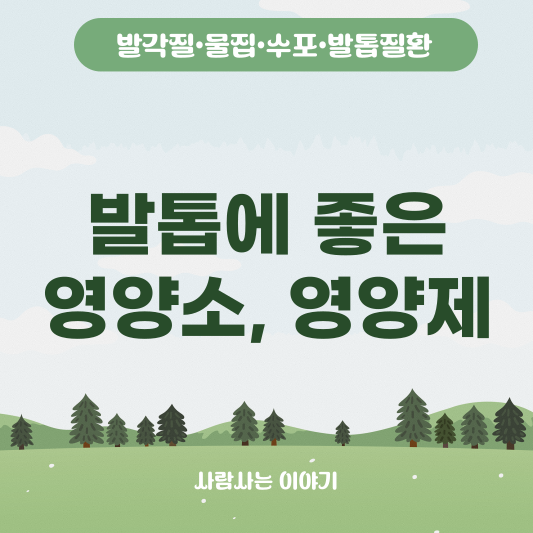 발톱 건강을 위한 영양소, 먹으면 좋은 영양제