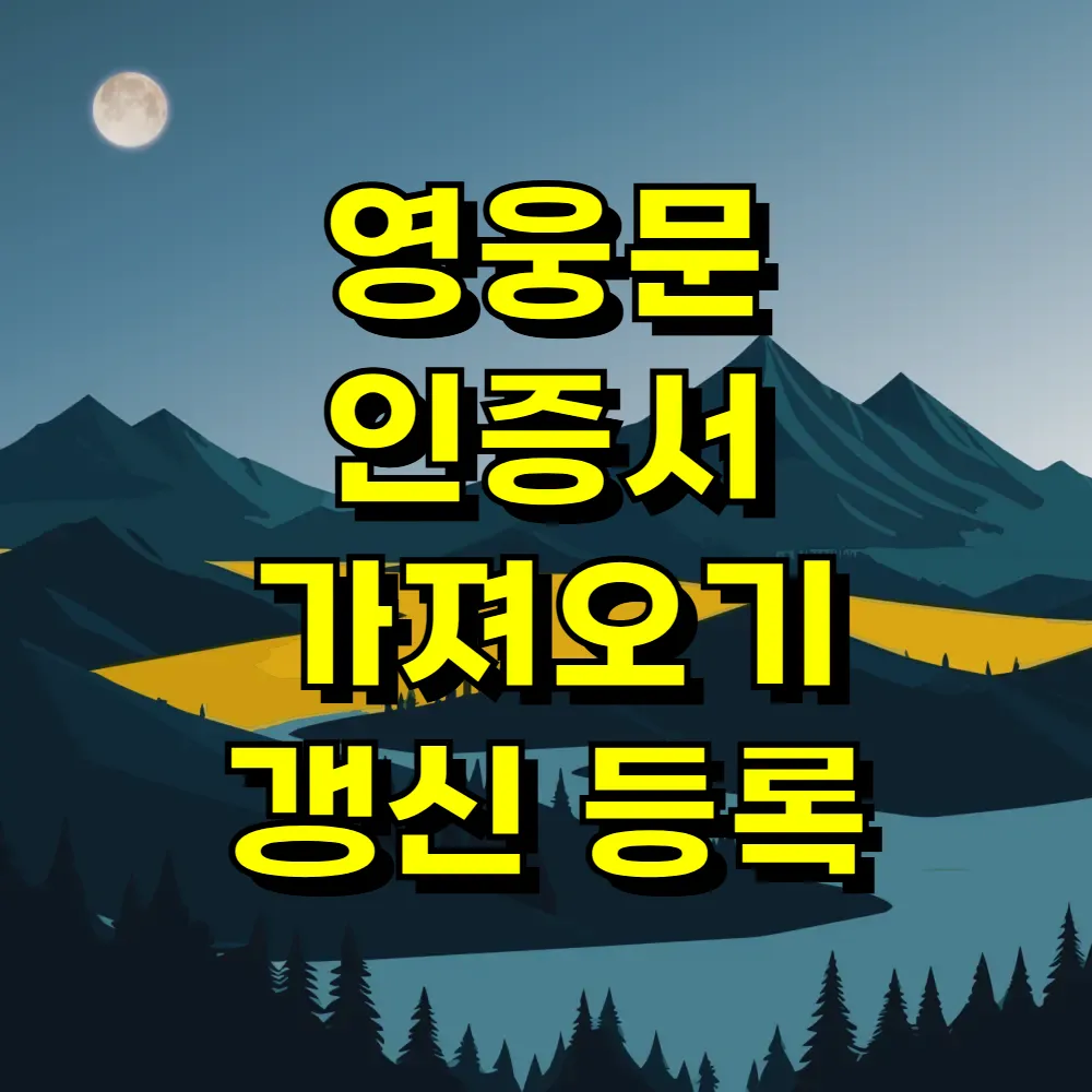영웅문 인증서 가져오기 갱신 등록