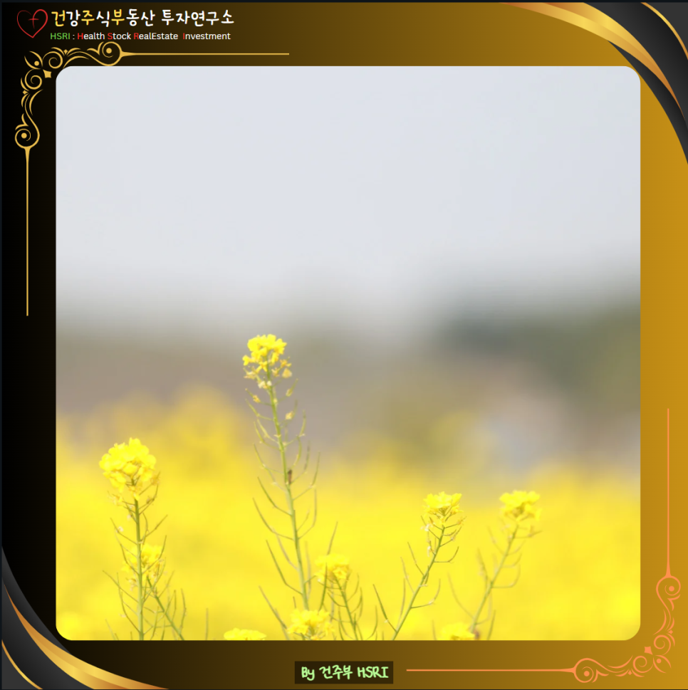 데살로니가후서 2장 묵상 : 불법의 사람, 오늘 우리의 자화상
(글 그림 : 건주부 , 그림 출처 : Canva)