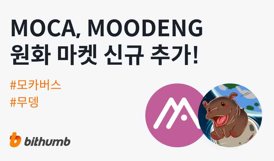 비썸 신규 추가 공지사항