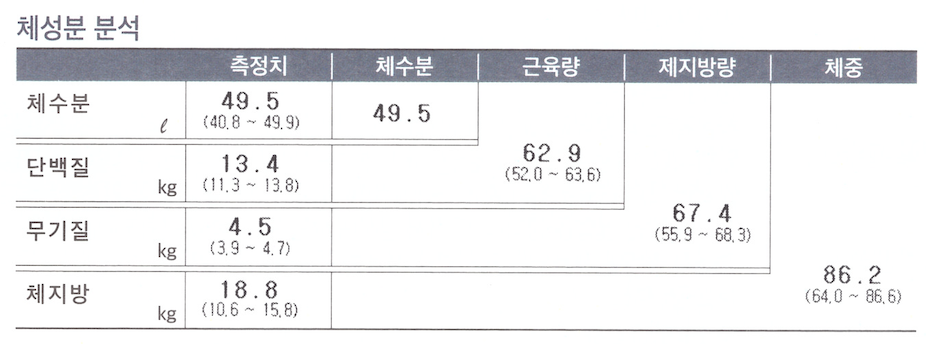 체성분 분석표