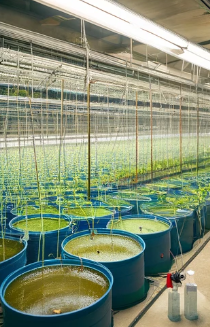 식물보호산업기사-필기-시험-기출문제-다운로드-단기-공부방법