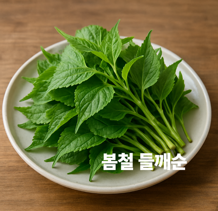 오메가3 비타민풍부 심혈관질환예방 봄철 들깨순 효능 영양성분