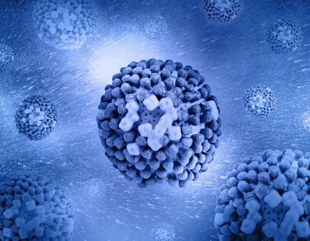 감기 바이러스 세포관련사진