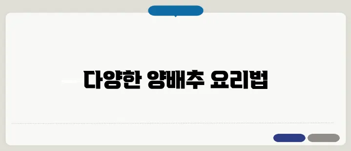 양배추요리 한 번에 이해할 수 있도록 설명