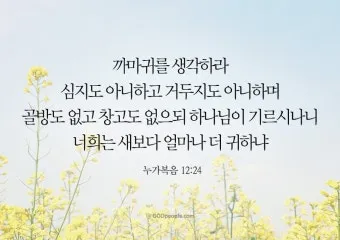 매일성경묵상(누가복음 12장 13-34절) 누가 네 인생의 주인이냐?_35