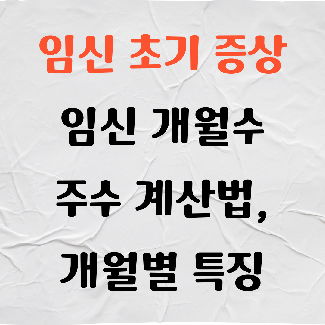 임신 초기 증상, 임신 개월수 주수 계산법, 개월별 특징