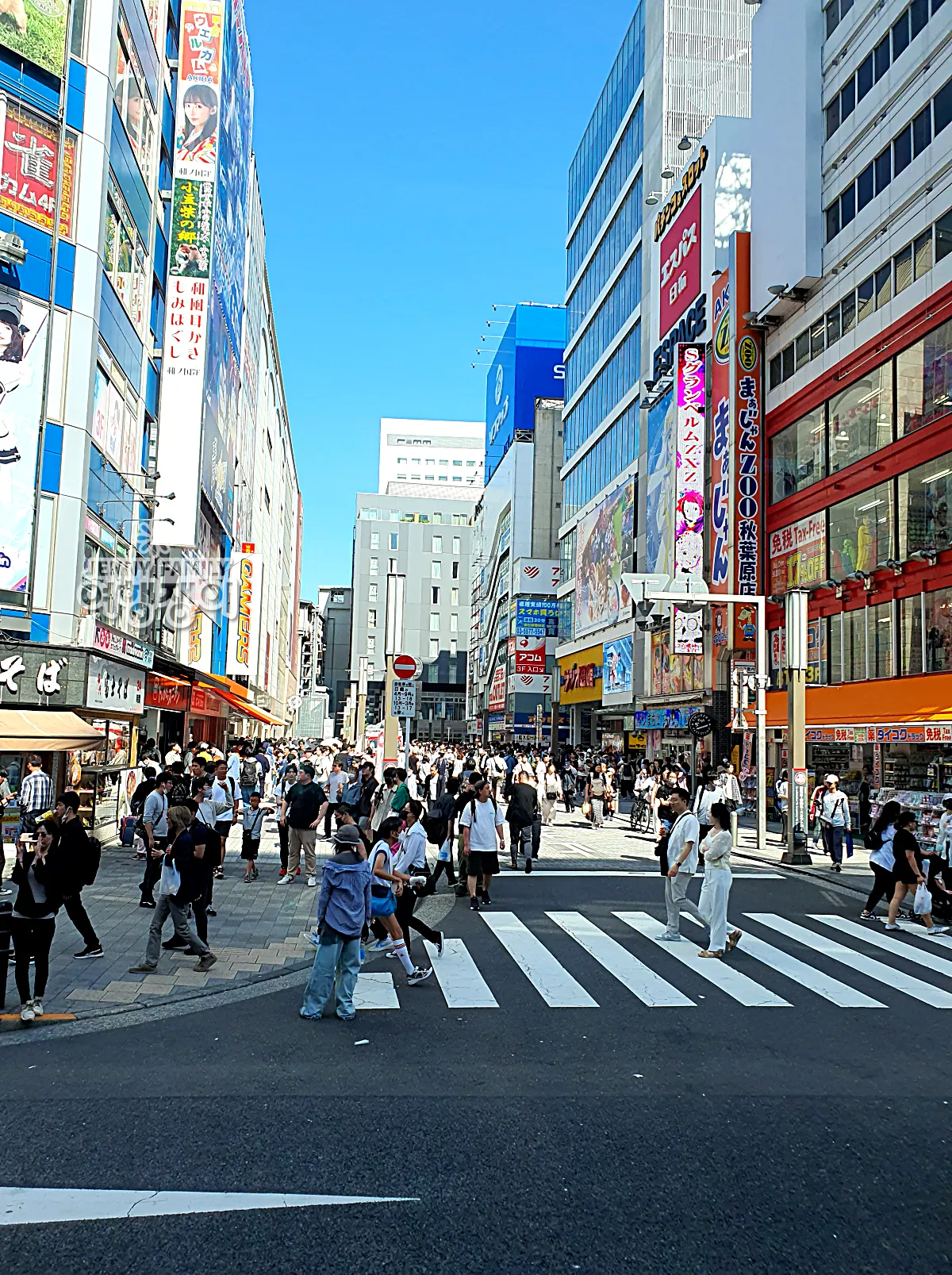 도쿄 아키하바라 거리의 사람들과 전자상가 빌딩 – Crowded Street View of Akihabara Electronics Town in Tokyo