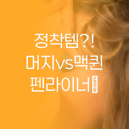 아이라인 유목민 정착템? 머지 vs