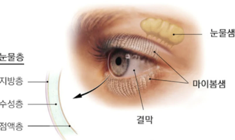 마이봄샘