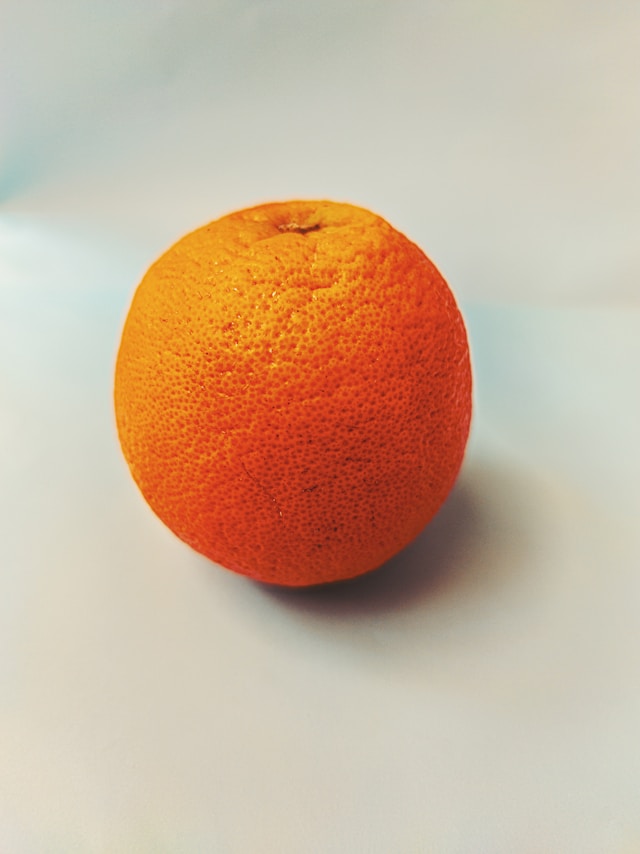 부모님 설 선물 실패 없는 레드향 고르는 법