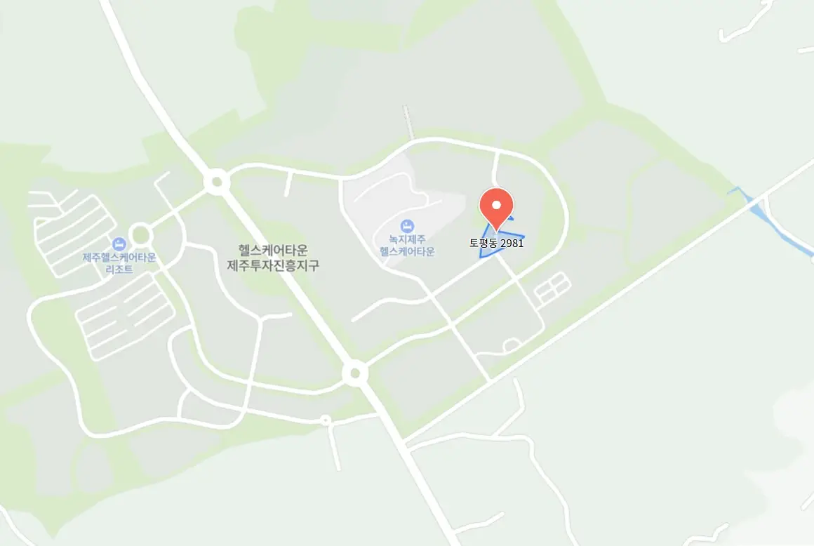 영천동 해바라기 축제