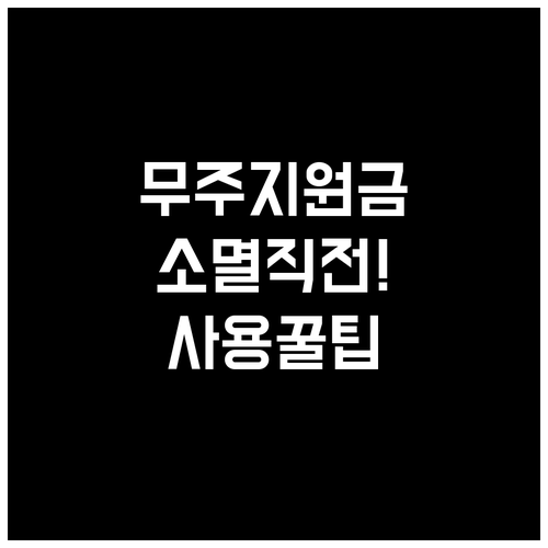 무주군 정책지원금 유효기간 확인 및 ..