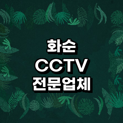 화순군 cctv