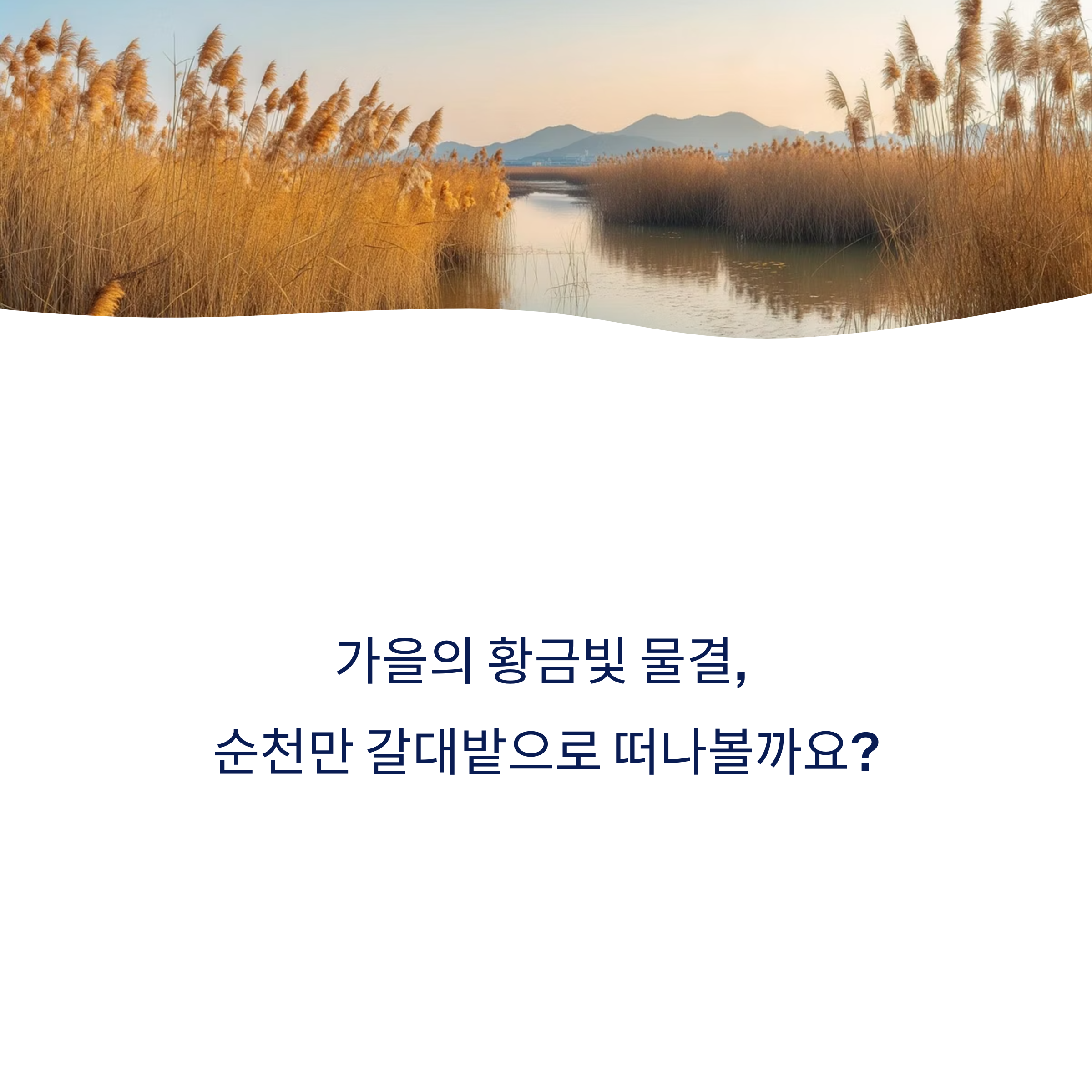 순천만 갈대밭